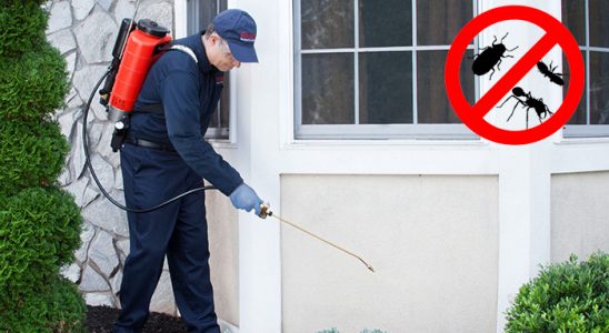 Kadışehri Tahtakurusu İlaçlama böcek ilaçlama ve haşere kontrolü — ilaclama-tr.com